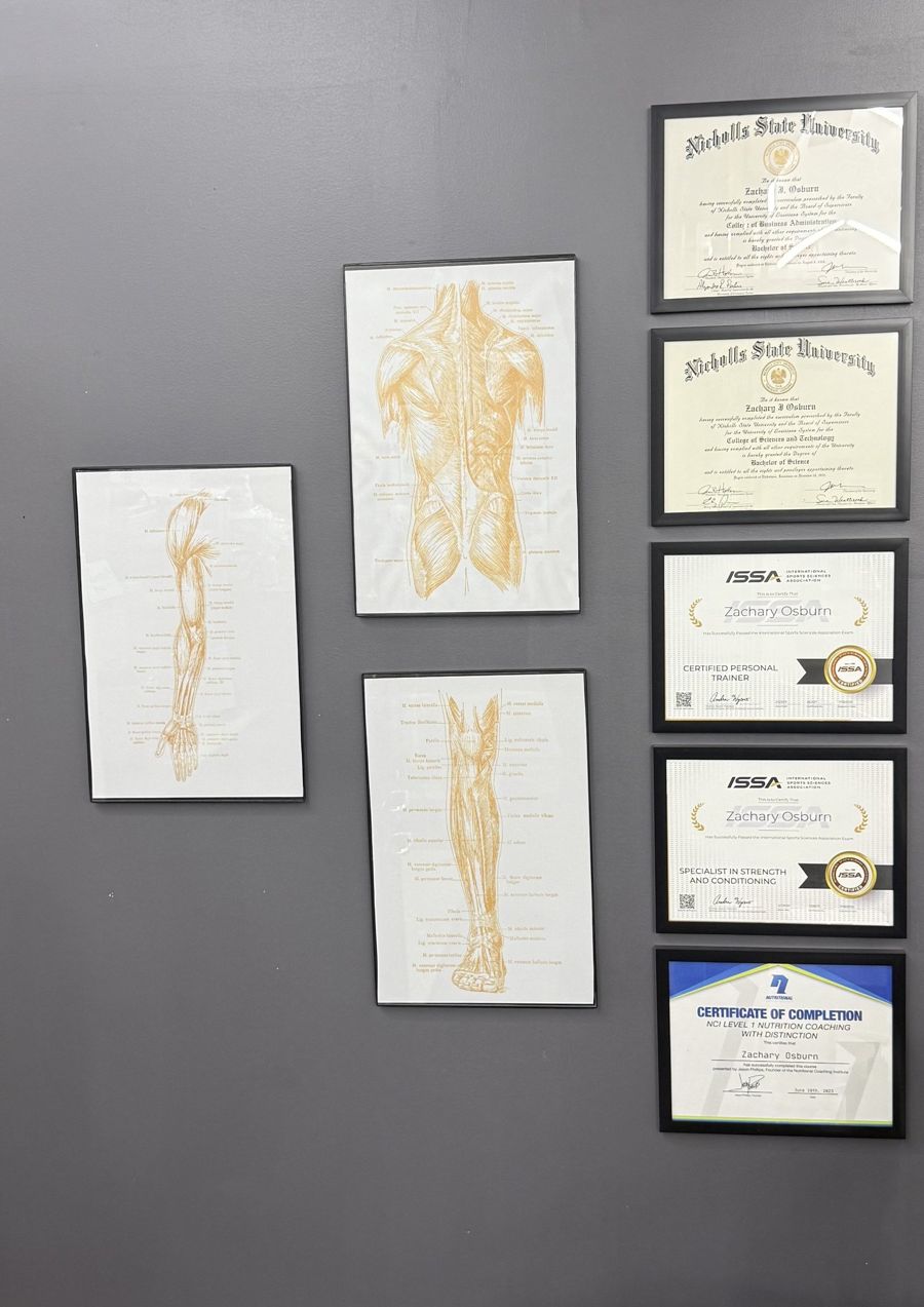 Anatomy prints and certificates on the studio wall