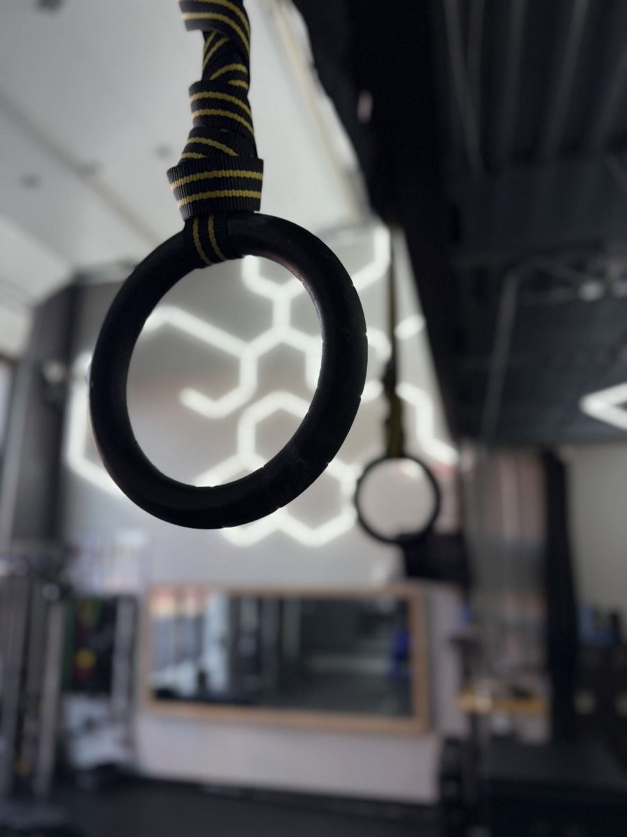 Gymnastic rings hanging in the studio